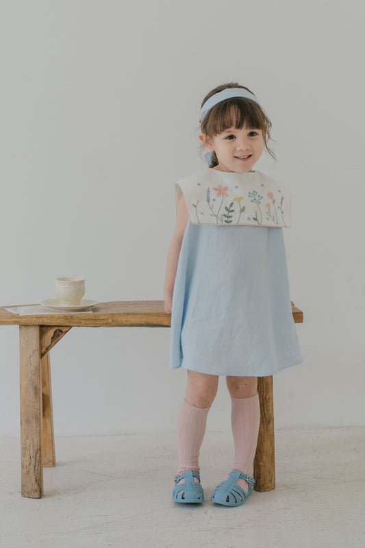 ALICE IN WONDERLAND STATEMENT COLLAR DRESS