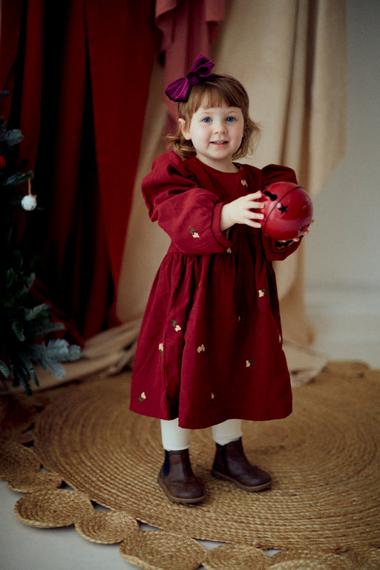 Little Little Embroidery Dress