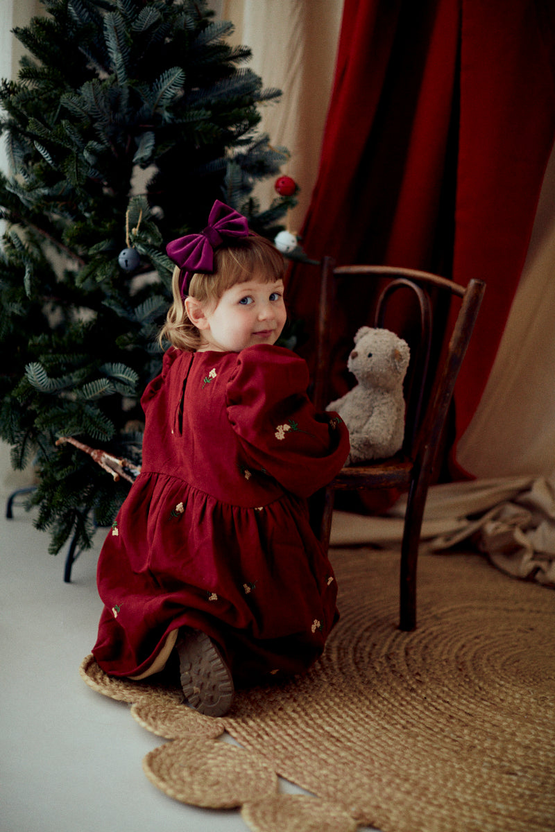 Little Little Embroidery Dress