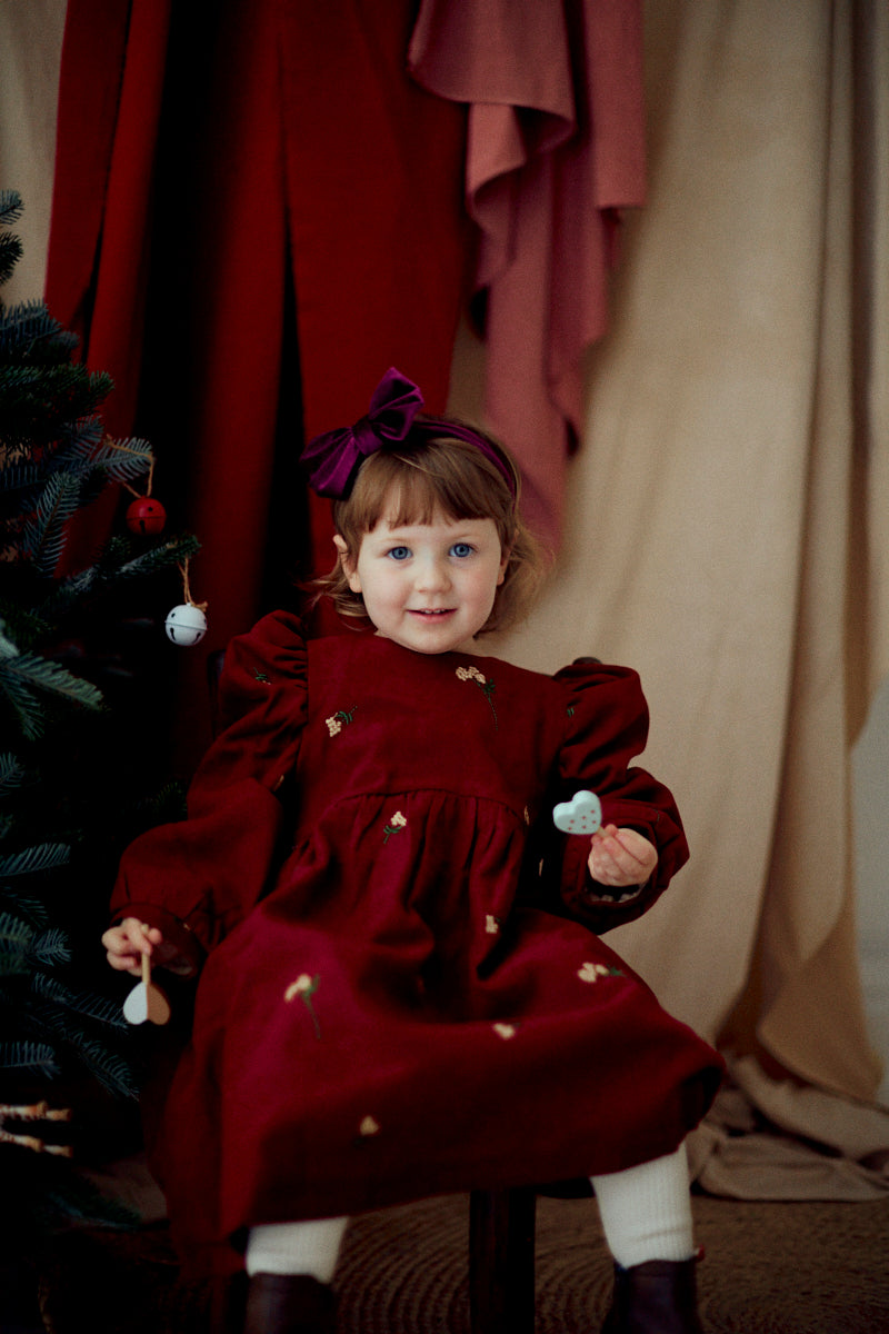 Little Little Embroidery Dress