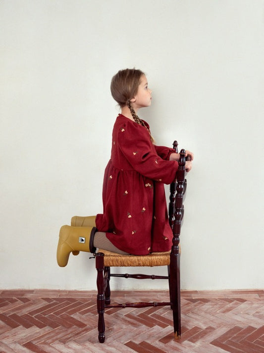 Little Little Embroidery Dress